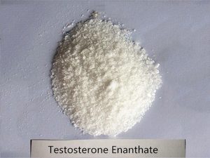 Testosterone Enanthate powder